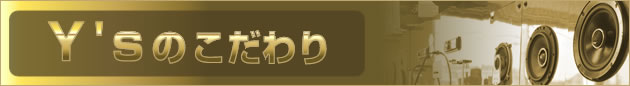 Y's �̂������
