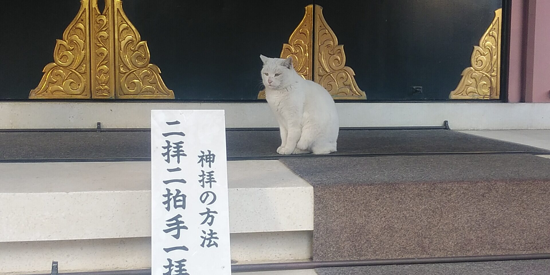 オールペンなら埼玉 東川口のワイズオートデザイン 売血リベンジ だが断る 埼玉県川口市の板金塗装 オールペンならワイズオートデザイン オールペンなら埼玉 東川口のワイズオートデザイン 売血リベンジ だが断る 埼玉県川口市の板金塗装 オールペンならワイズオートデザイン